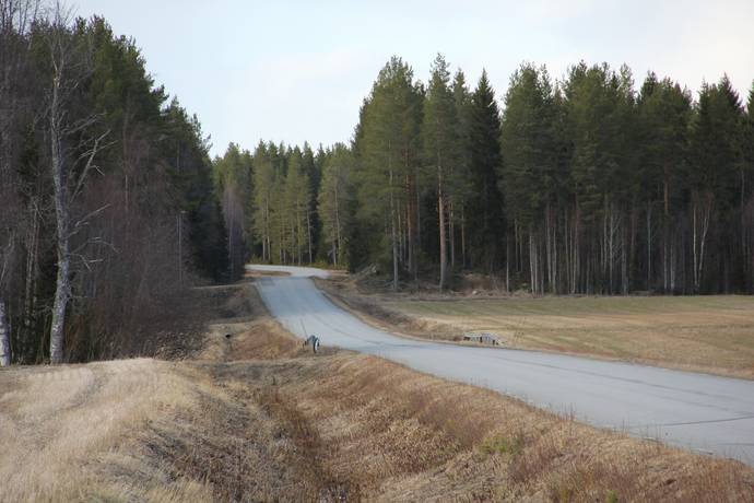Gård/skog på Lillpite Piteå kommun - bild 6