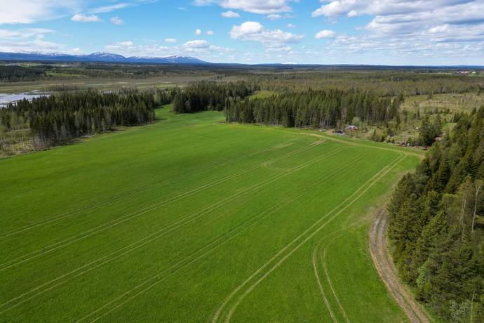 Gård/skog på Åre Rörön 1:2, 2:2 samt 2:3 Åre kommun - bild 22