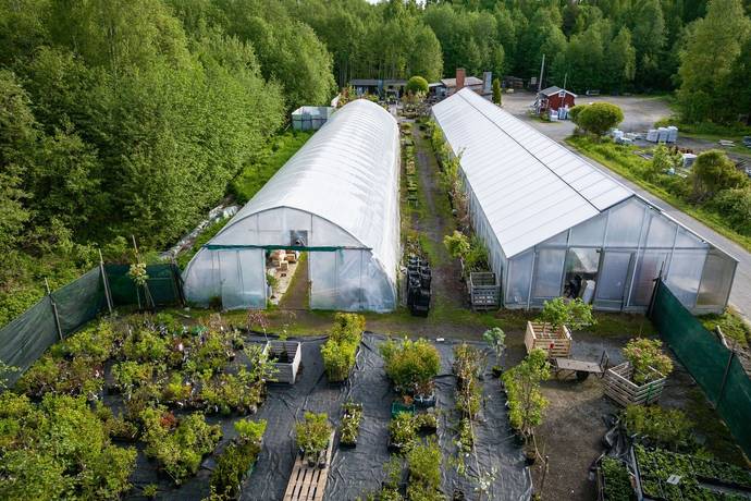 övrig på Vänskapsgatan 175 Ursviken, Skellefteå kommun - bild 4