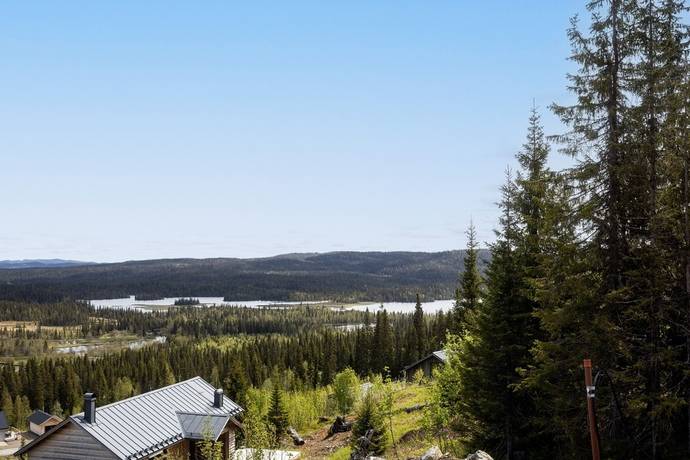 tomt på Blåbärsstigen 16 Dorotea - Borgafjäll, Dorotea kommun - bild 4
