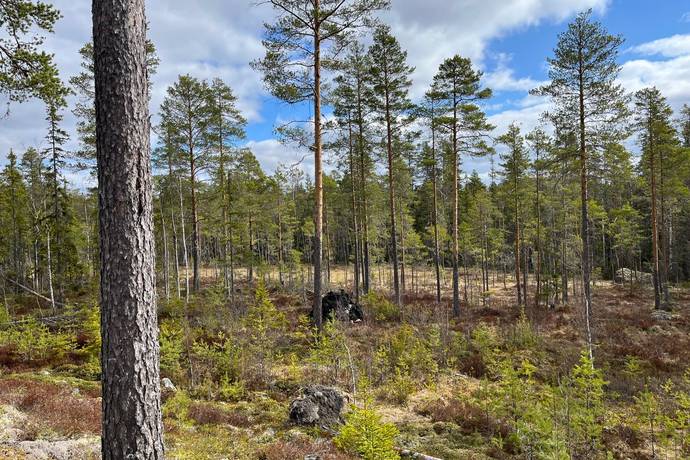 Gård med skogsbruk på Leksand Ytteråkerö 21:21 Björberget Leksands kommun - bild 5