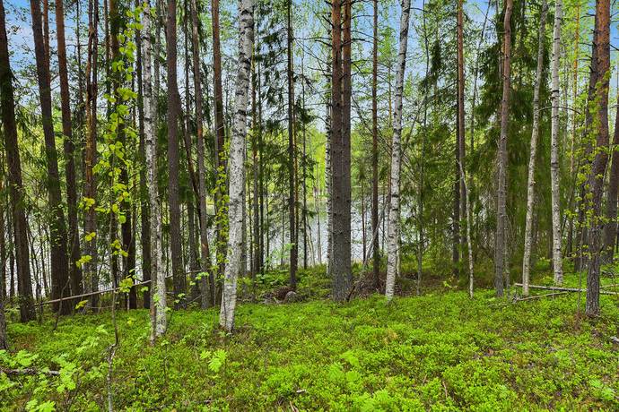 Tomt på Arvidsträsk 1:28 Arvidsträsk Älvsbyns kommun - bild 8