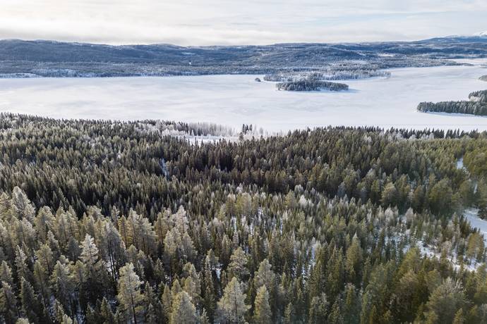 Gård/skog på Torsfjärden 320 Lidsjöberg Strömsunds kommun - bild 42