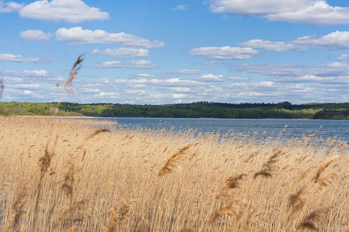 4 rum Villa på Allarpsvägen 160 Bromölla kommun - bild 7