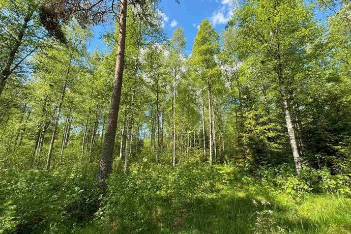 Gård utan jordbruk på Hällahester 1 Hällahester, Eksjö Eksjö kommun - bild 81
