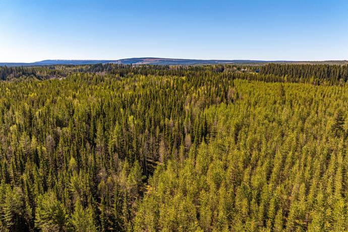 118 m² Gård/skog på Laxbäcken 224 Vilhelmina kommun - bild 19