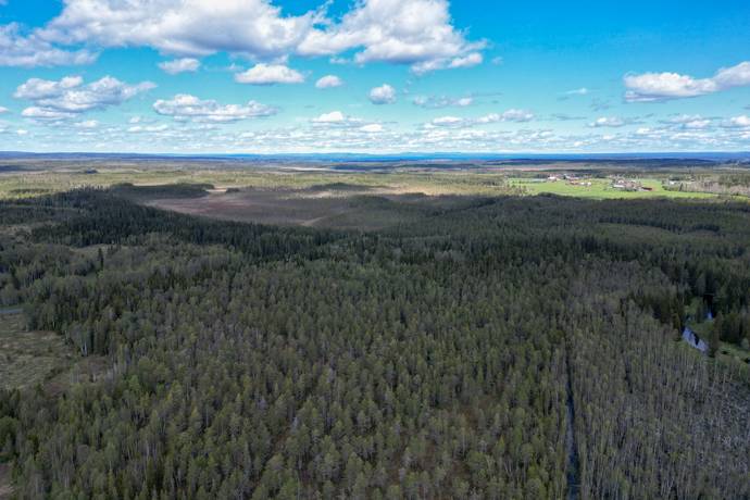 Gård/skog på Åre Rörön 1:2, 2:2 samt 2:3 Åre kommun - bild 34