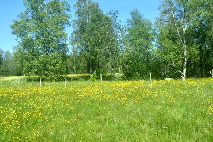 60 m² Gård med jordbruk på Bondbyn Holmen 104 Nora kommun - bild 9