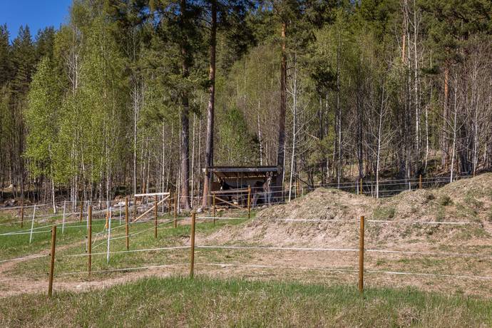 5 rum Gård/skog på Störsbäcksvägen 9 Tallåsen Ljusdals kommun - bild 74