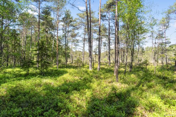 2 rum Fritidshus på Tjärnhult 2 Skogsbygden Vårgårda kommun - bild 13