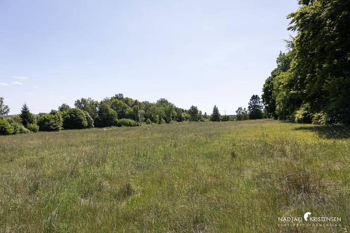 6 rum Gård/skog på Hulrugeredsvägen 145 Hallandsåsen Båstads kommun - bild 44