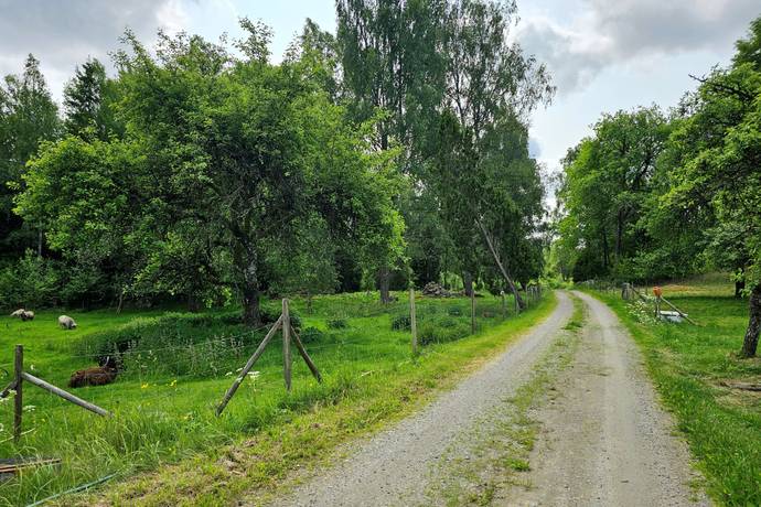 2 rum Gård med jordbruk på Skärvgölsvägen 33 och 37 Ronneby kommun - bild 22