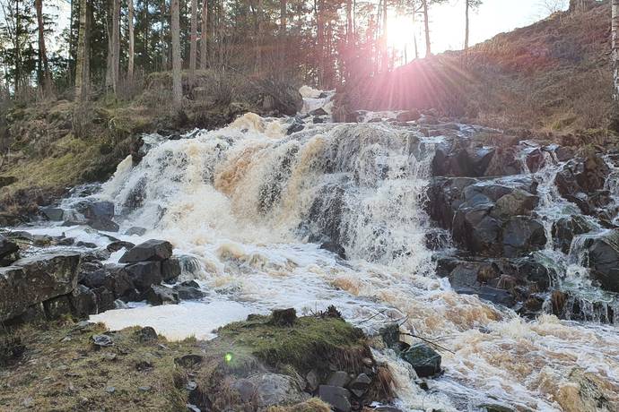 4 rum Vinterbonat fritidshus på Älmeberg 106 Falkenbergs kommun - bild 87