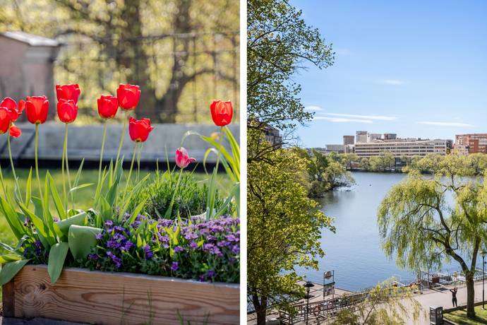3 rum Lägenhet på Reimersholmsgatan 11 Södermalm - Reimersholme Stockholms kommun - bild 32