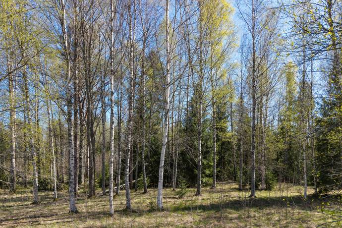 4 rum Villa på Torpa 590 Örebro kommun - bild 69