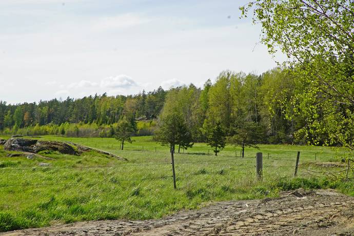 Gård/skog på Övre Hammarby Haninge kommun - bild 10