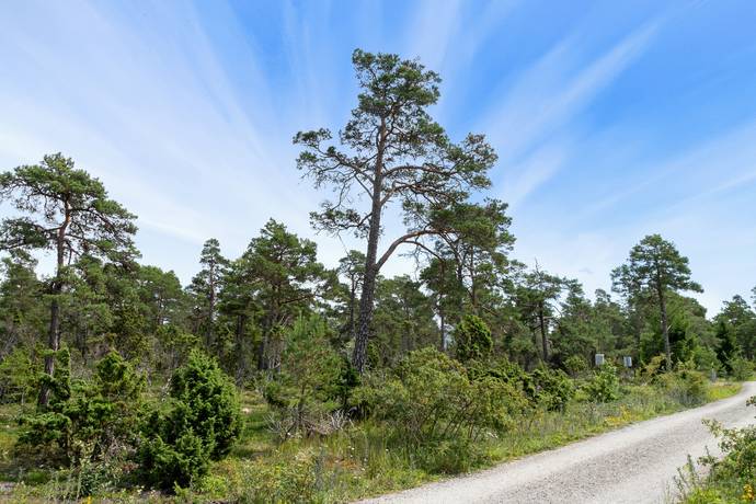 tomt på Ardre Alsarve 803F Ardre, Gotlands kommun - bild 2