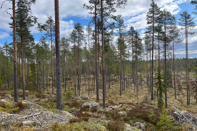 Gård med skogsbruk på Leksand Ytteråkerö 21:21 Björberget Leksands kommun - bild 14