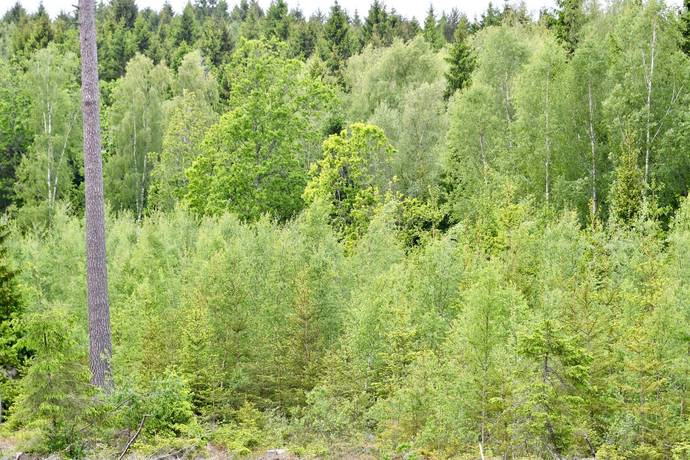 Gård med jordbruk på Berg Tatermyren 3 Berg Skövde kommun - bild 23
