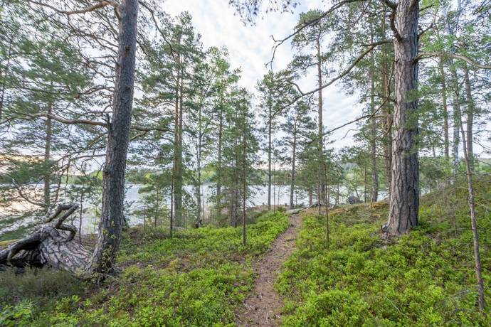 2 rum Fritidsboende på Näs Tallholmen 1 Gusum Valdemarsviks kommun - bild 30