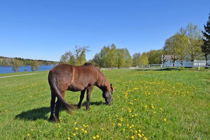 10 rum Gård/skog på Baggekulla 101, 102, 103, 104 Västergötland Ulricehamns kommun - bild 6