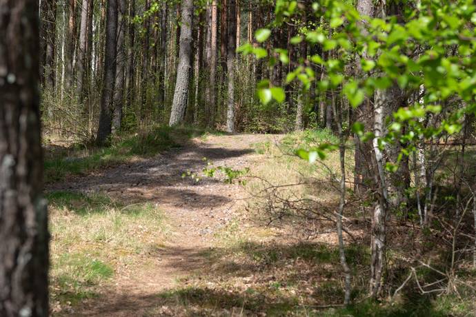 5 rum Villa på Ringblomsvägen 39 Öjaby Växjö kommun - bild 49