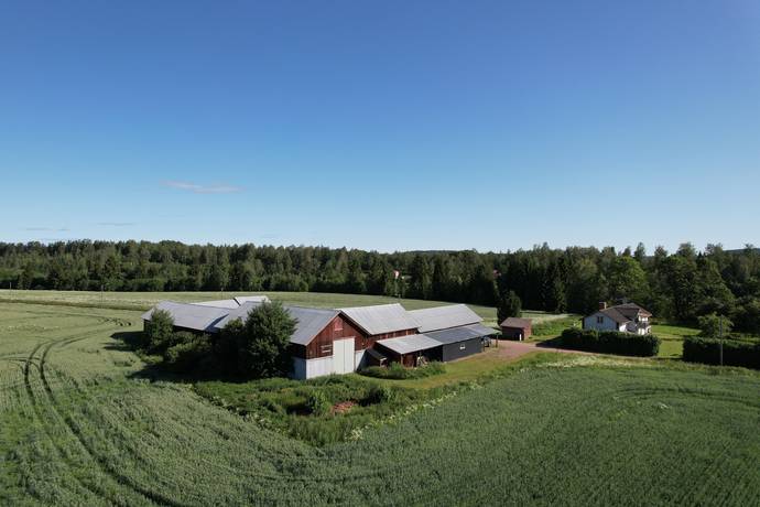 Gård med jordbruk på Janpers Hedemora kommun - bild 7