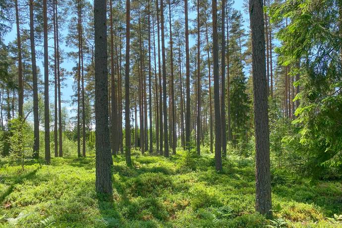 Gård med jordbruk på Upplöv Norra Skattegård 1 Upplid Värnamo kommun - bild 49