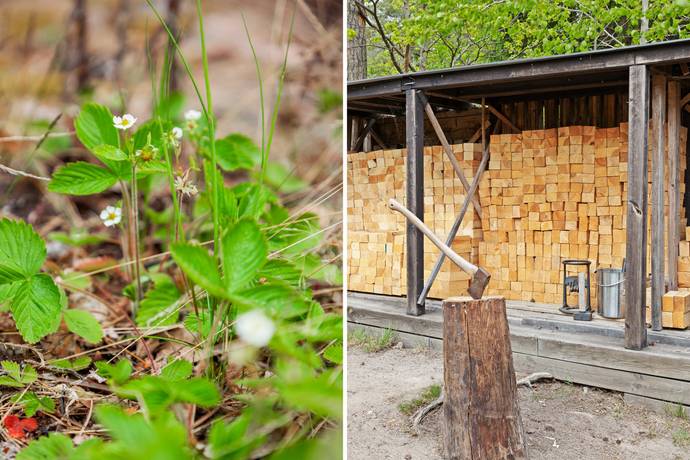 3 rum Villa på Basttorpsvägen 12 Djursvik-Basttorp Oxelösunds kommun - bild 33