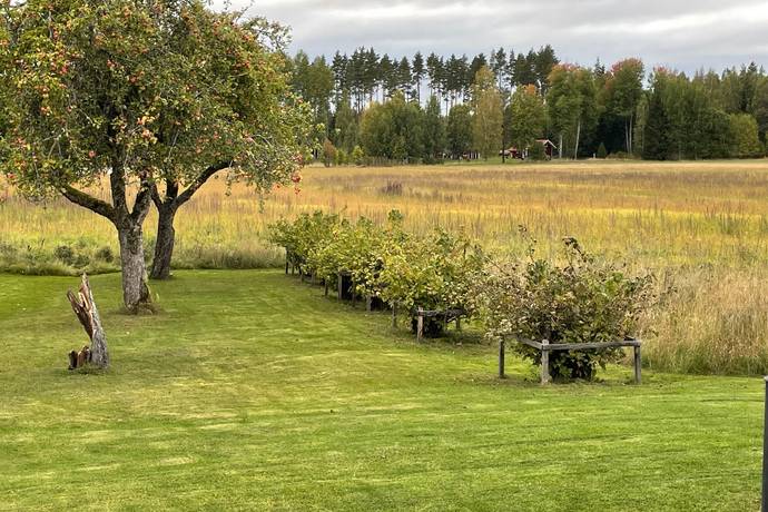 Gård med skogsbruk på Skärsjö 168 och 170 Skärsjö Heby kommun - bild 77