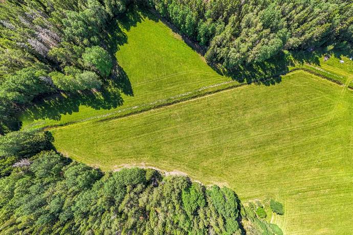 gård/skog på Ribbingelund Hålldammen Ärla, Eskilstuna kommun - bild 2