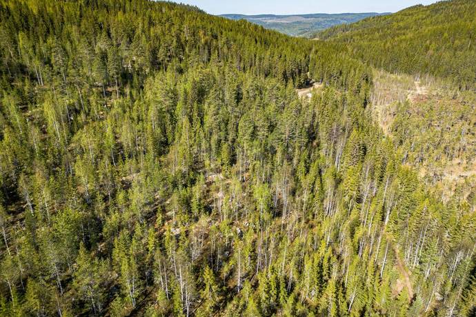gård med skogsbruk på SUNDSVALL BODACKE 1:81 Liden, Sundsvalls kommun - bild 3
