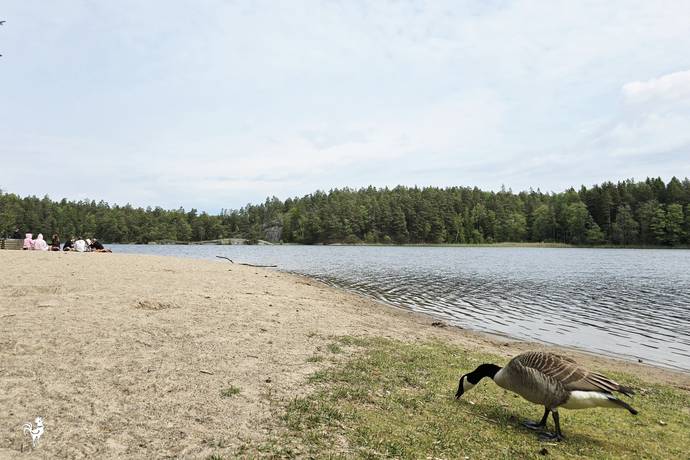 1.5 rum Lägenhet på Vendelsömalmsvägen 106 Vendelsö Haninge kommun - bild 30