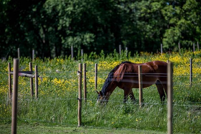 4 rum Radhus på Trumpetsvampen 4 Skinnefjäll Härryda kommun - bild 30