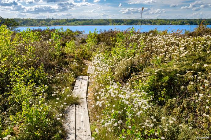 4 rum Fritidshus på Värmdö Stora Älgön 145 Stora Älgön Värmdö kommun - bild 31