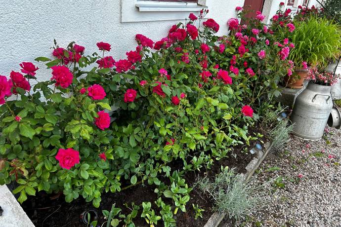 6 rum Villa på Bjärrödsvägen 17 Bjärsjölagård Sjöbo kommun - bild 30