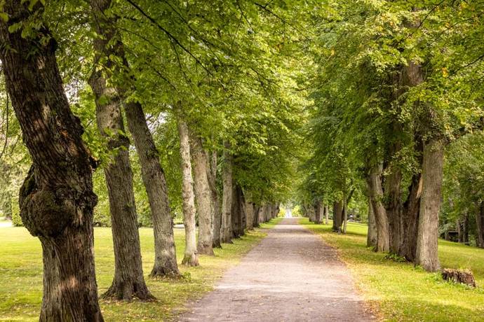 1 rum Lägenhet på Cronhielms allé 33 Ulriksdal Solna kommun - bild 21