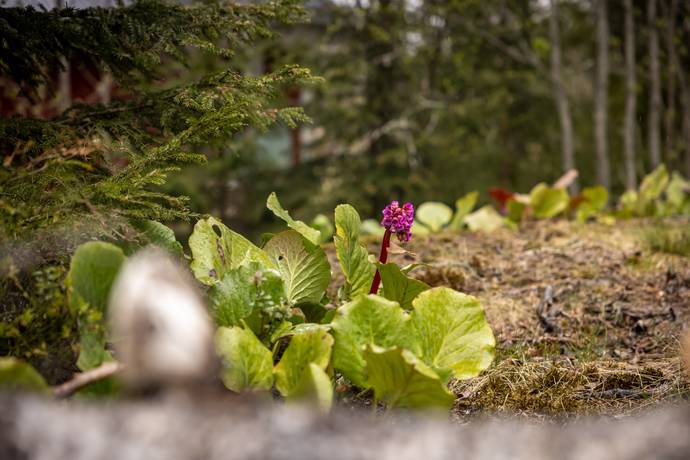 Fritidshus på Ostnäs 19 Umeå kommun - bild 7