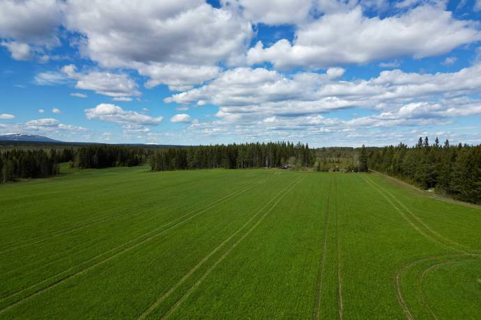 Gård/skog på Åre Rörön 1:2, 2:2 samt 2:3 Åre kommun - bild 20