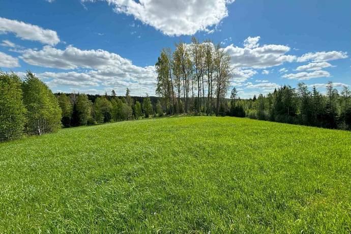 Gård utan jordbruk på Hällahester 1 Hällahester, Eksjö Eksjö kommun - bild 88