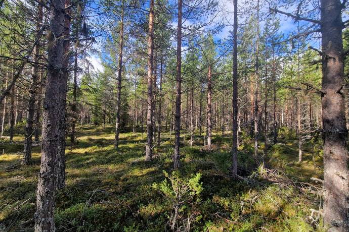 Lit, Östersunds kommun