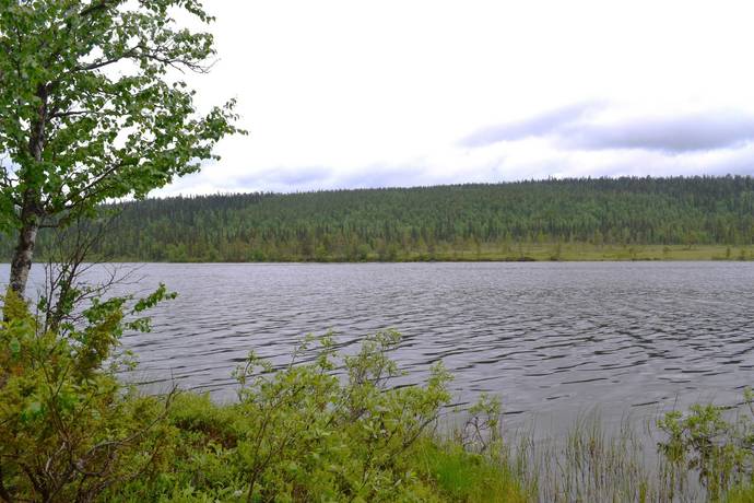 Gård utan jordbruk på Harrijärvi tomt 3 Harrijärvi Gällivare kommun - bild 24