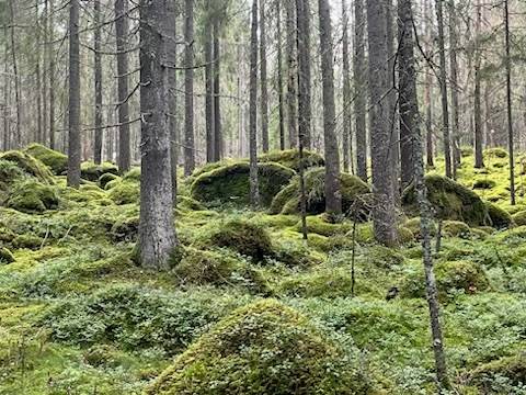 Sundet Ålängen 1, Filipstad, Filipstads kommun