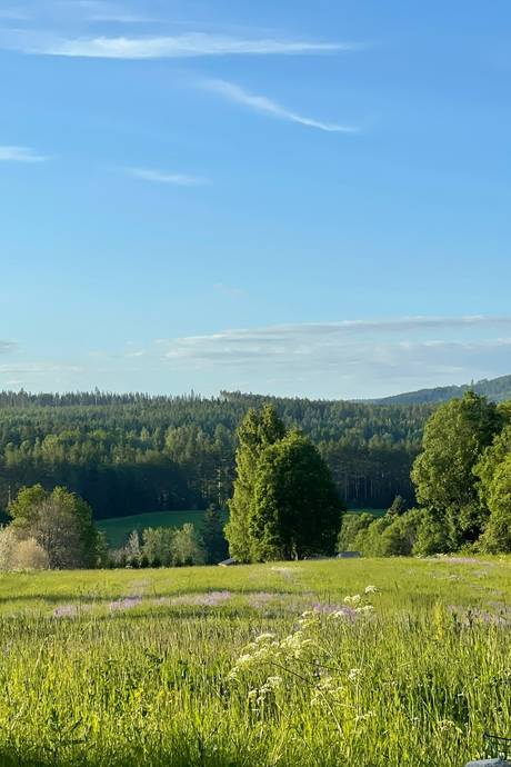 5 rum Gård med jordbruk på Öckne 110 Stöde Sundsvalls kommun - bild 29