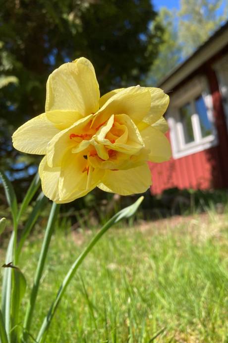 6 rum Villa på Fröslida Solängsvägen 103 Fröslida Hylte kommun - bild 9