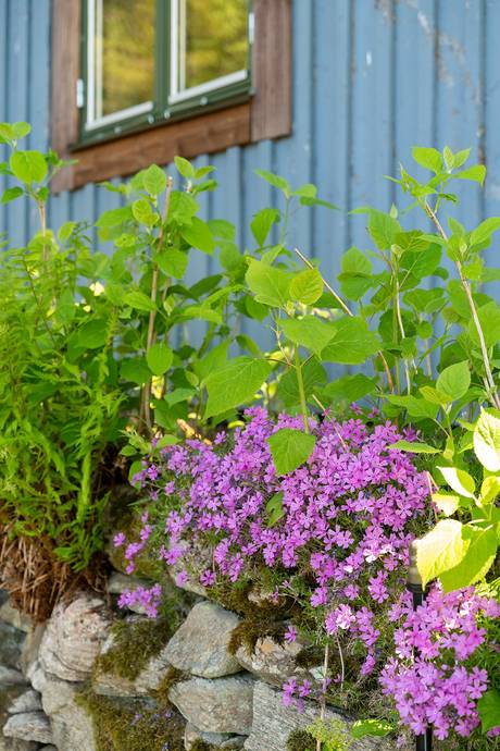 1 rum Villa på Kåhult 612 Härryda Härryda kommun - bild 22
