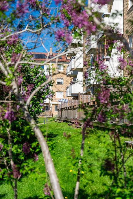 1 rum Lägenhet på Torkelsgatan 34B Höganäs Uppsala kommun - bild 26