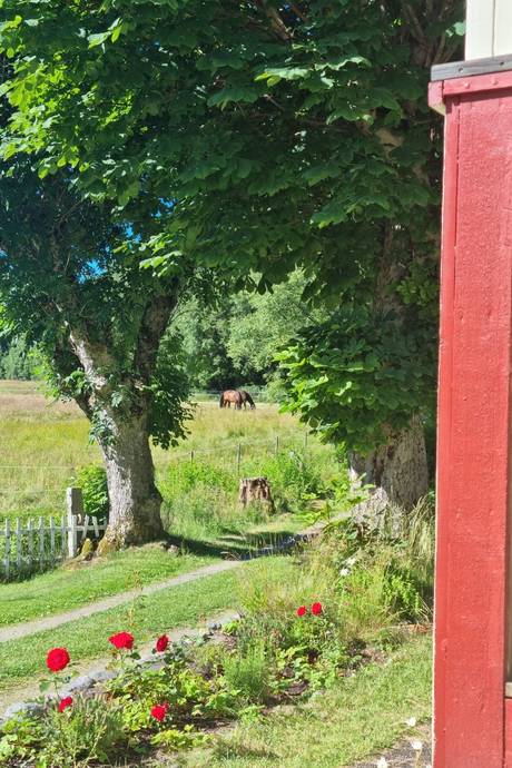 Gård utan jordbruk på Tannamsfjället 2 Tanumshede Tanums kommun - bild 7