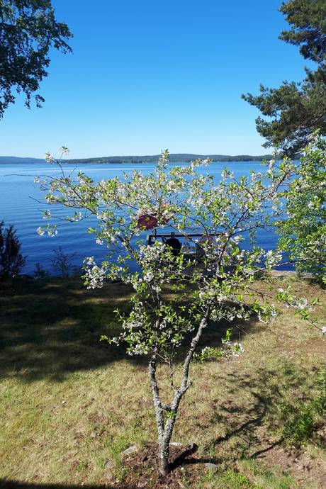 3 rum Fritidshus på Humlekil Holmåsen 14 Arvika Arvika kommun - bild 28