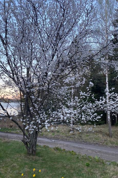 2 rum Fritidshus på Rullstensvägen 1 Enhörna Södertälje kommun - bild 44